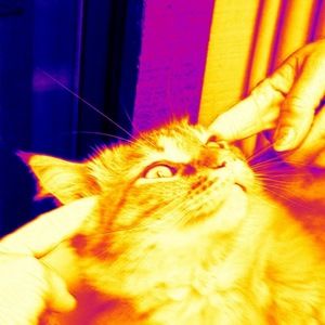 Meet your Posher, Plain